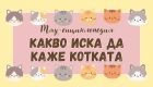 Мяу-енциклопедия:  какво иска да каже котката